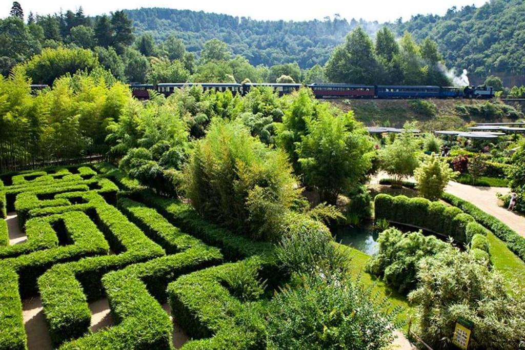 Gite Amour De Provence Châteaurenard المظهر الخارجي الصورة