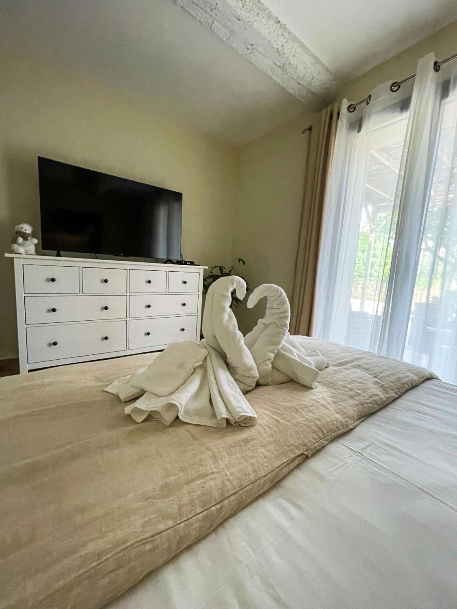 Gite Amour De Provence Châteaurenard المظهر الخارجي الصورة