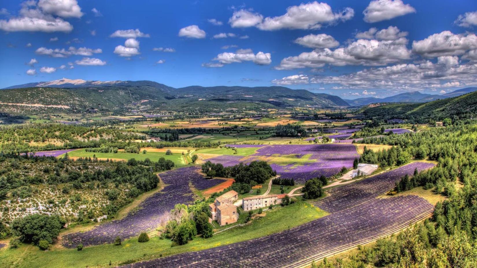 Gite Amour De Provence Châteaurenard المظهر الخارجي الصورة